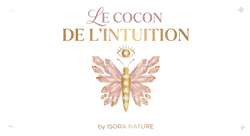 Le cocon de l'intuition