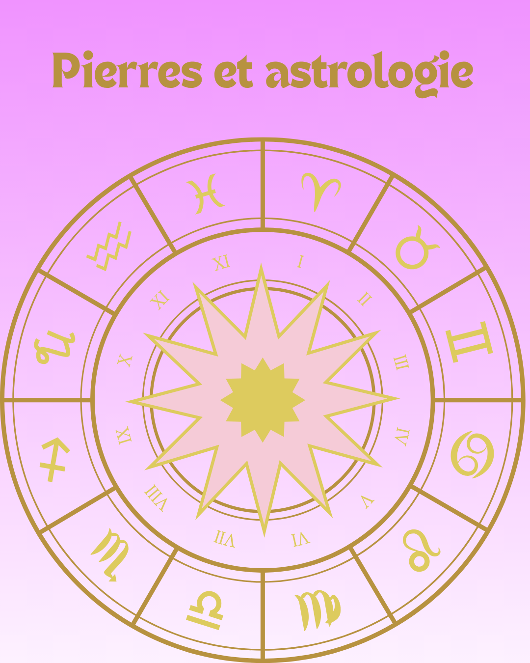 Pierres et astrologie - roue astrologique avec les 12 signes du zodiaque