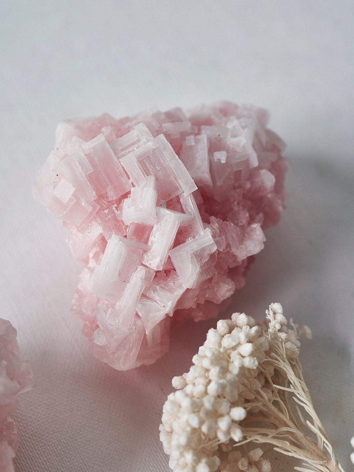 Pièces d’exception