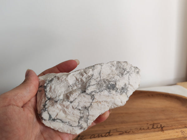 Howlite brute - tenue en main, vue de face