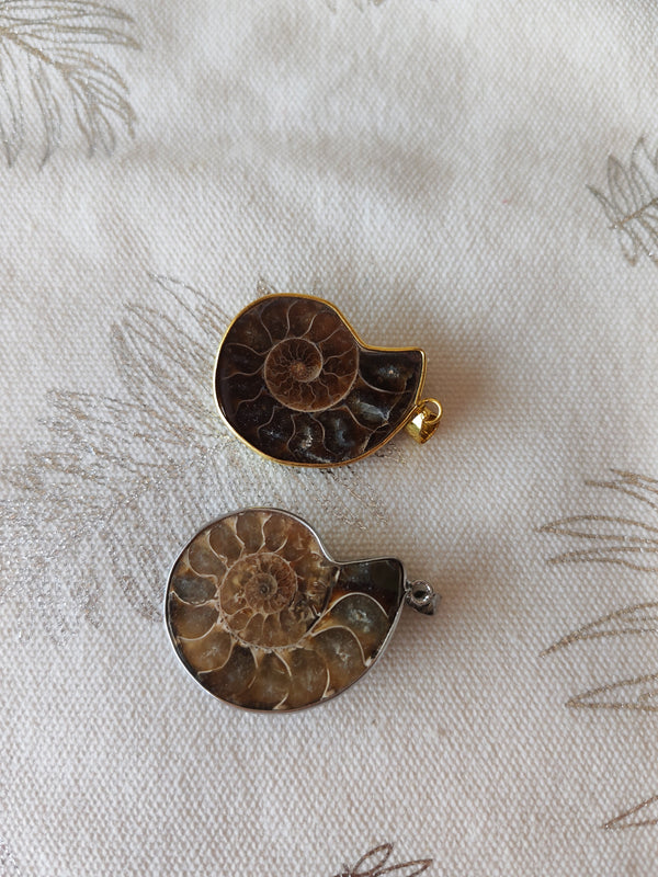 Pendentif ammonite fossile - bordure argentée et dorée fond tissu blanc