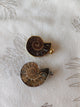 Pendentif ammonite fossile - bordure argentée et dorée fond tissu blanc