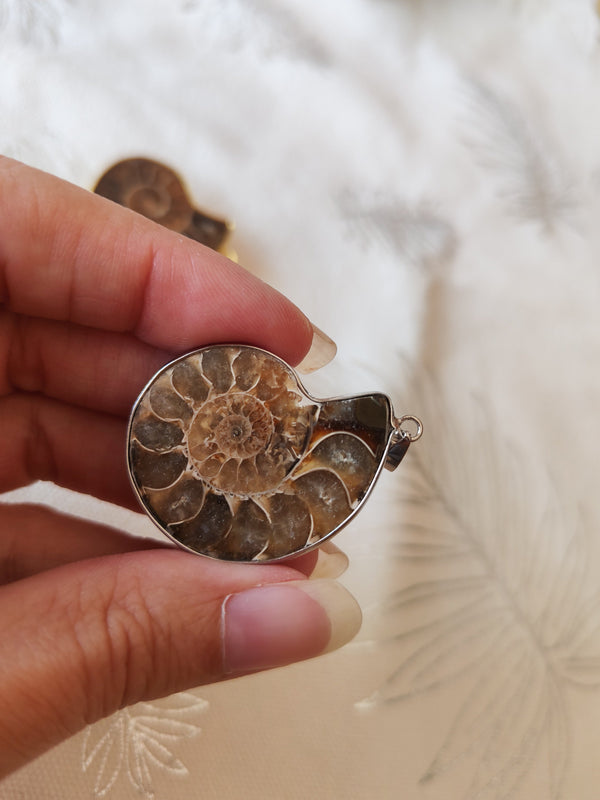 Pendentif ammonite fossile bordure argentée tenu en main