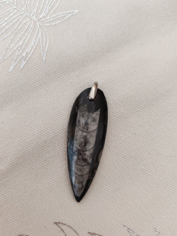 Pendentif fossile orthocéras - fond tissu blanc
