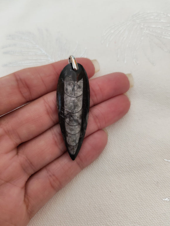 Pendentif fossile orthocéras - tenu en main fond blanc