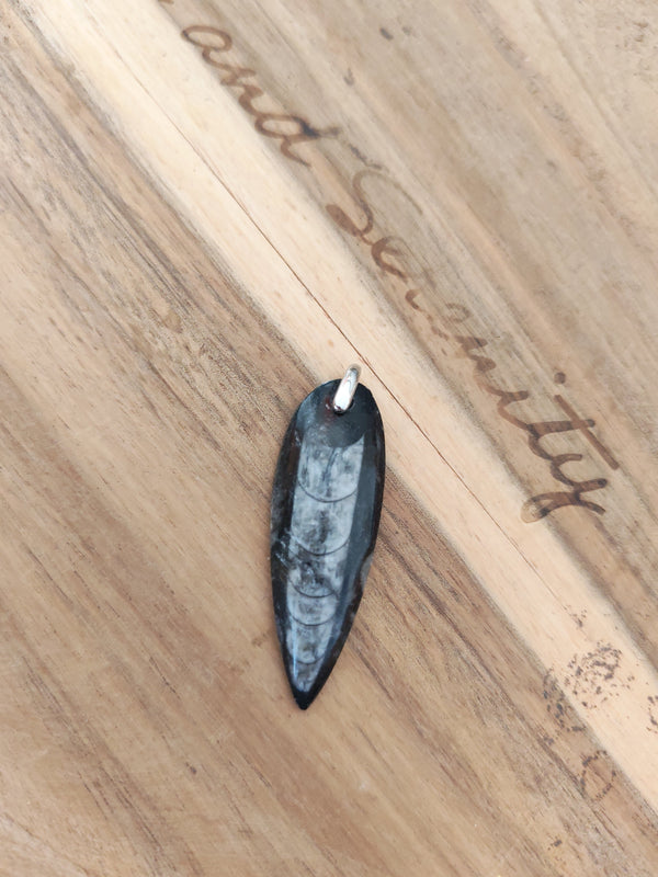 Pendentif fossile orthocéras - posé sur bois