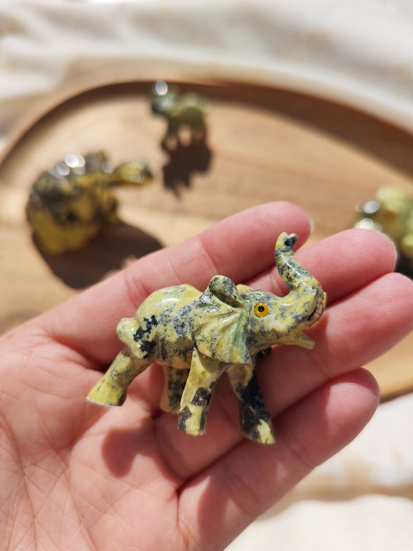 Grande tortue sculptée en serpentine jaune-noir tenue en main vue de dessus