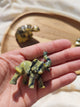Tortue sculptée en serpentine vert foncé tenue en main vue de face