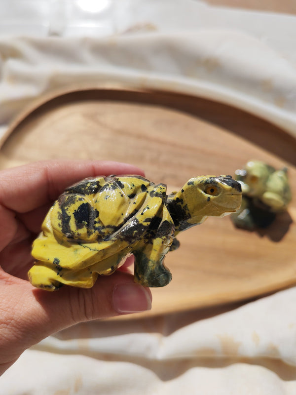 Tortue sculptée en serpentine vert foncé tenue en main vue de dessus