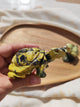 Tortue sculptée en serpentine vert foncé tenue en main vue de dessus