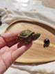 Grande tortue obsidienne œil céleste sculptée tenue en main vue de dessus