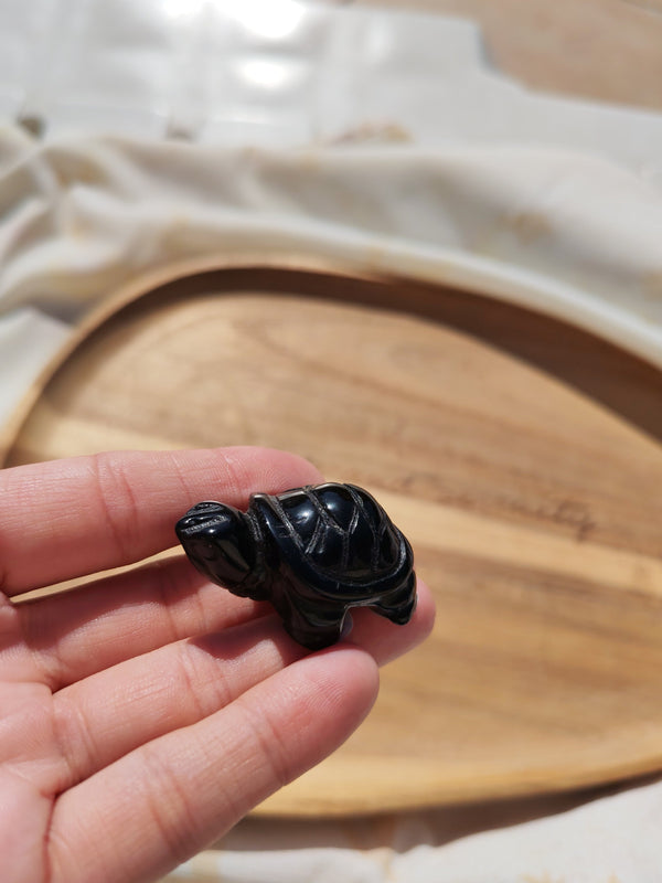 Grande tortue obsidienne œil céleste sculptée tenue en main vue de profil