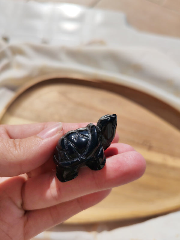 Grande tortue obsidienne œil céleste sculptée tenue en main vue de face