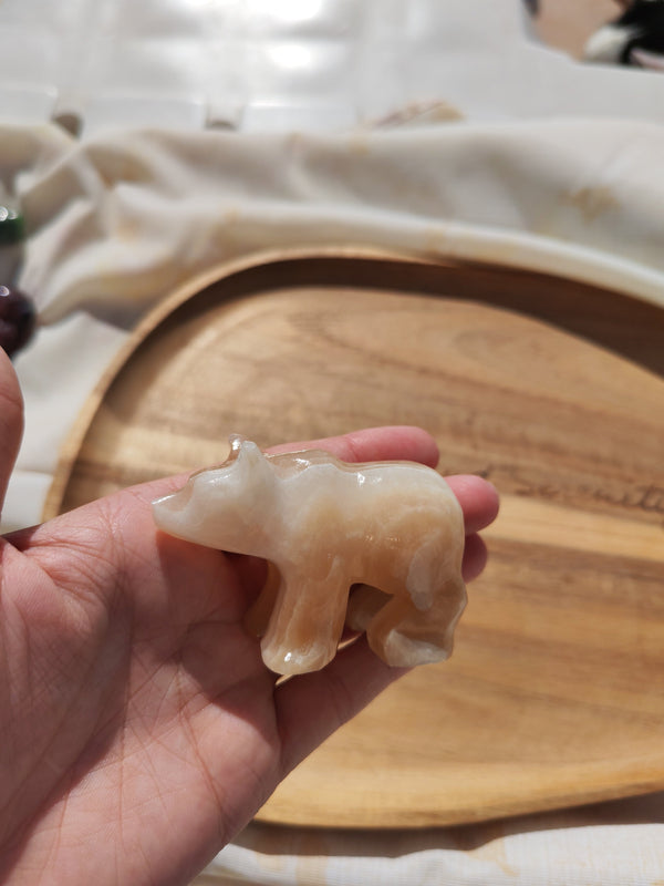 Ours sculpté en aragonite caramel tenu en main vue de profil droit