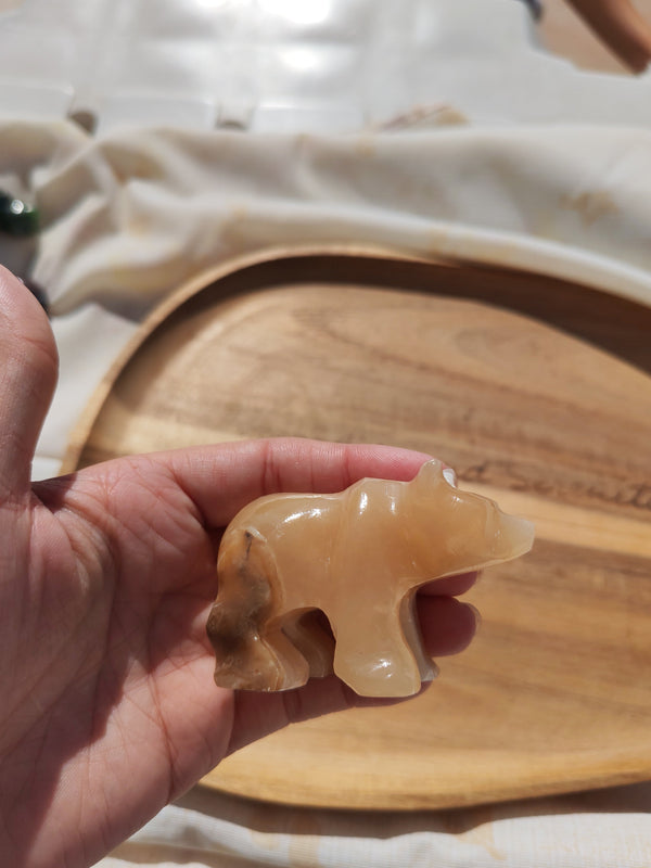 Ours sculpté en aragonite beige tenu en main vue de dessus