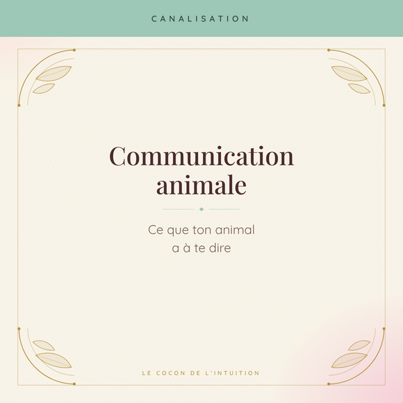 Communication animale — Le Cocon de l'Intuition