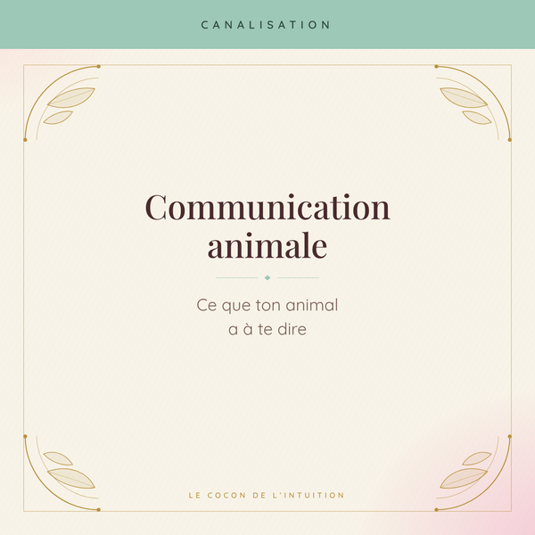 Communication animale — Le Cocon de l'Intuition